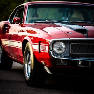 Gallery: Rear View Mirror (2025)