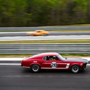 Gallery: Historic Trans Am Racing