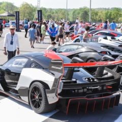 Gallery: The Concours