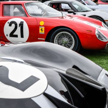 Gallery: Photo Gallery (2023)