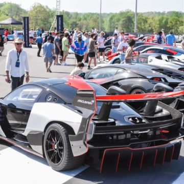 Gallery: The Concours