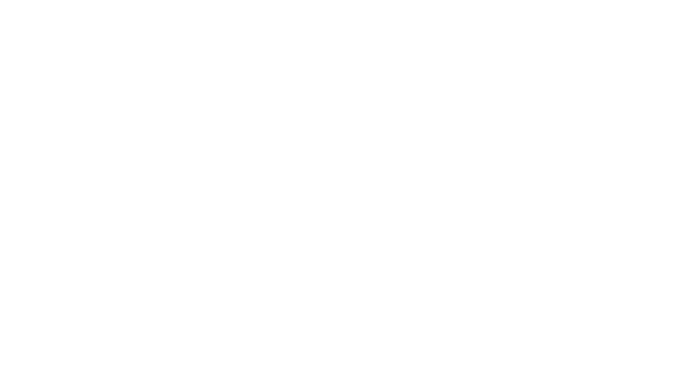 Falcon Jets