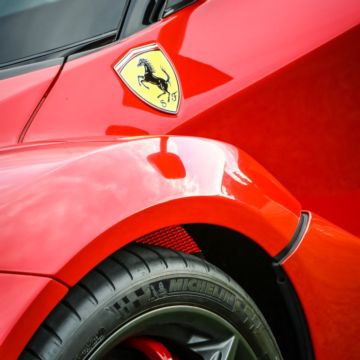 Gallery: Photo Gallery (2023)